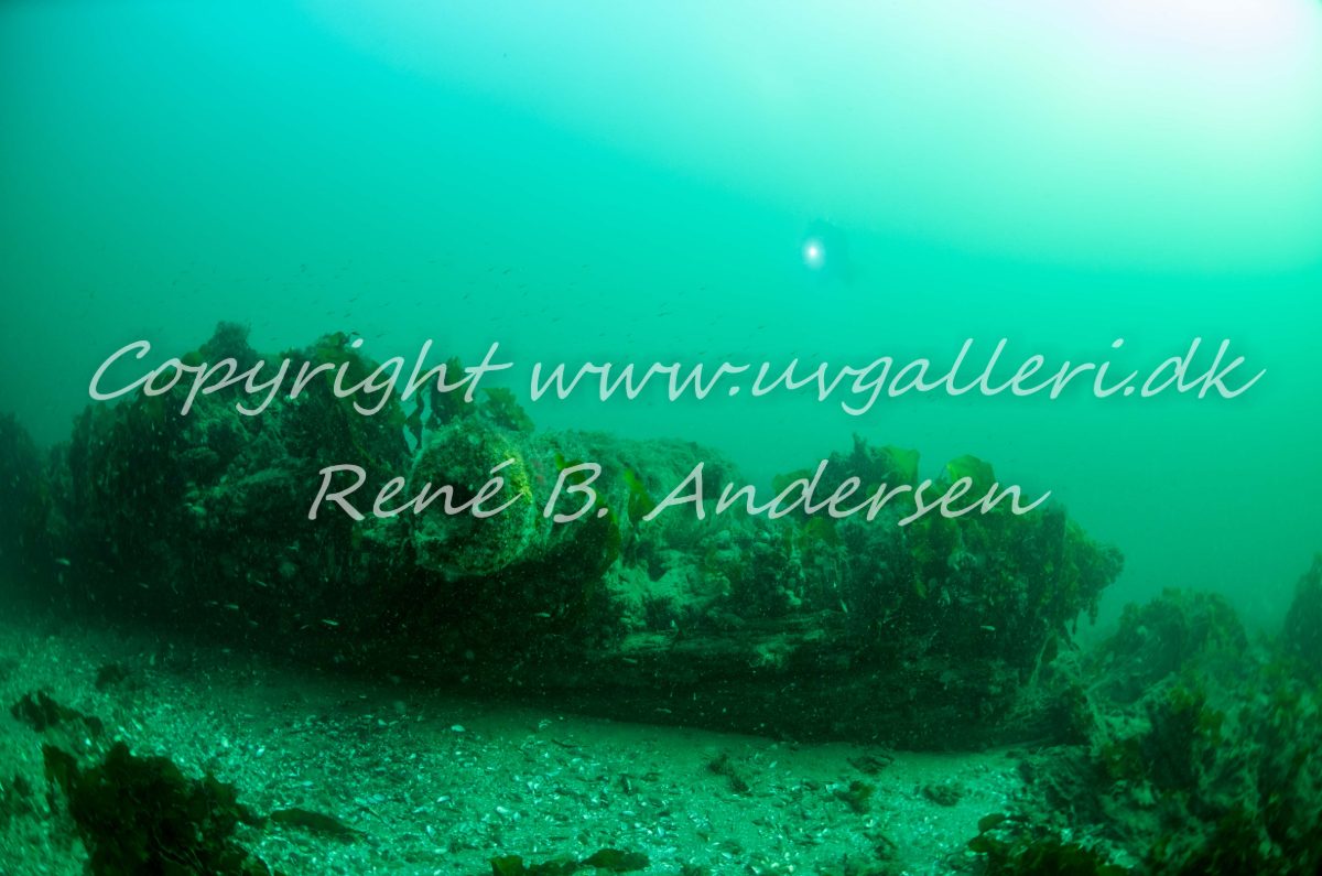 Kanonvraget