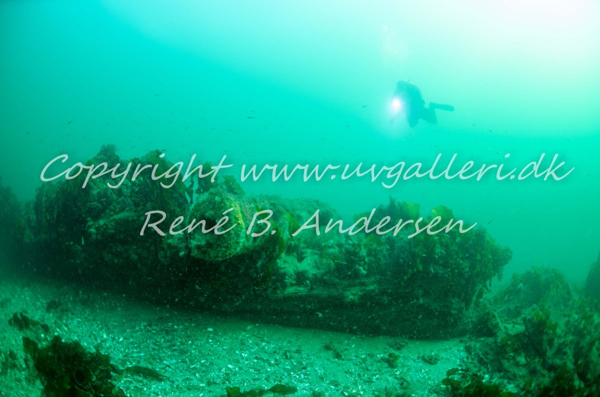 Kanonvraget