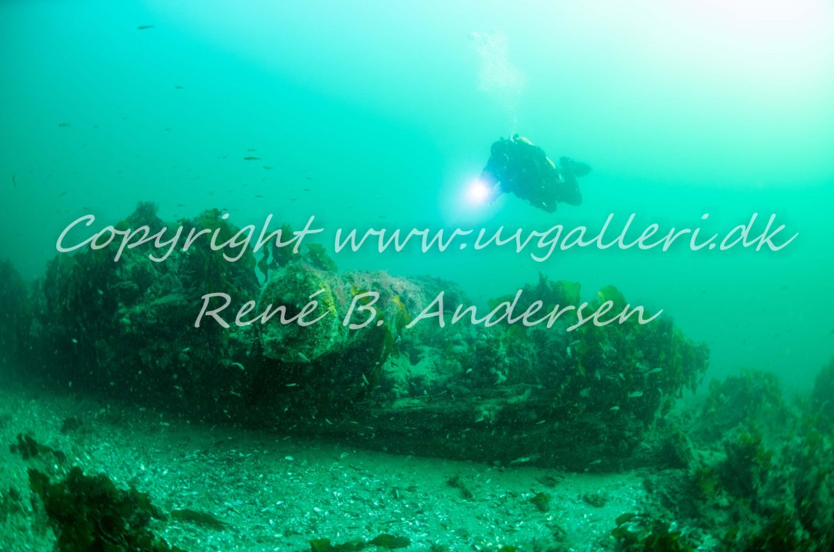 Kanonvraget
