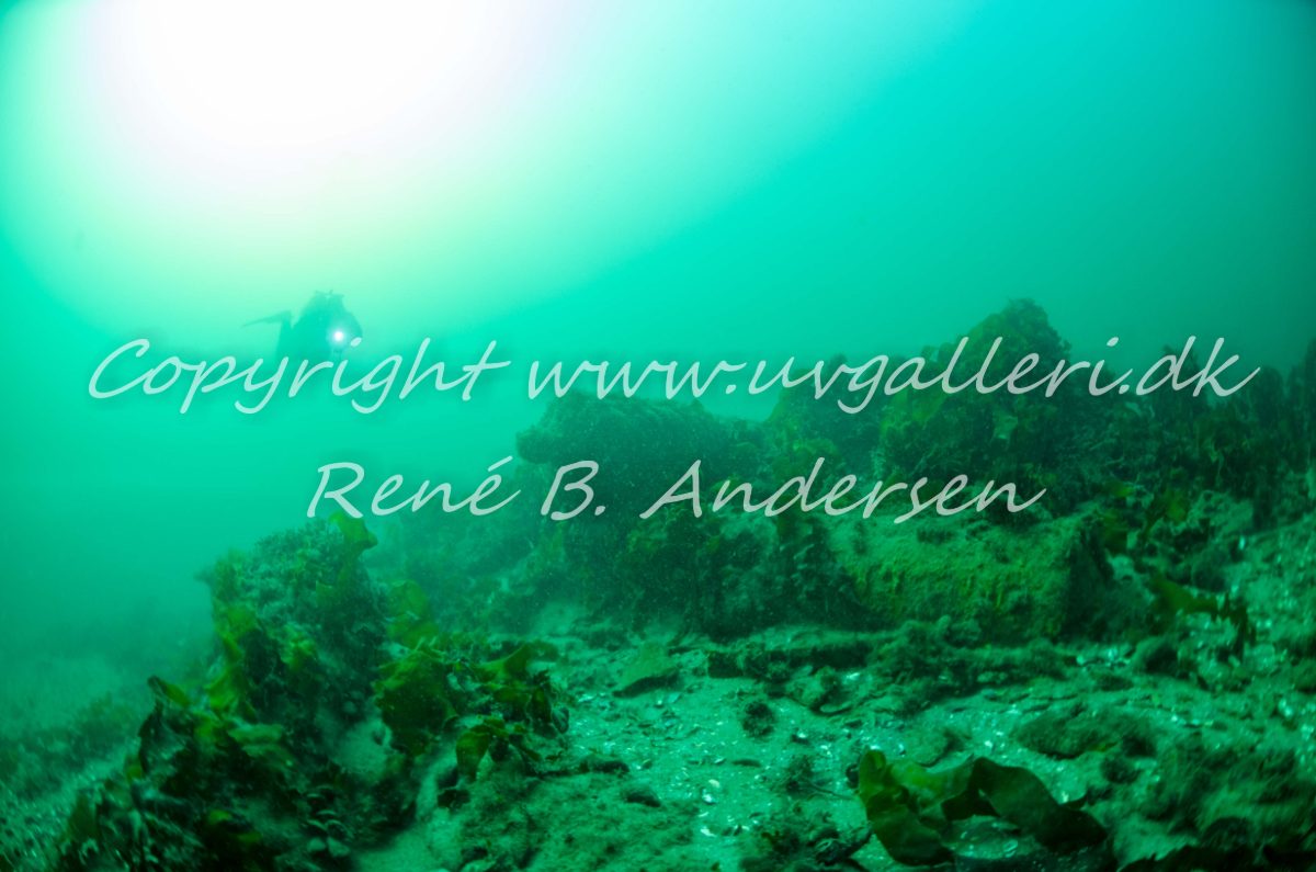 Kanonvraget