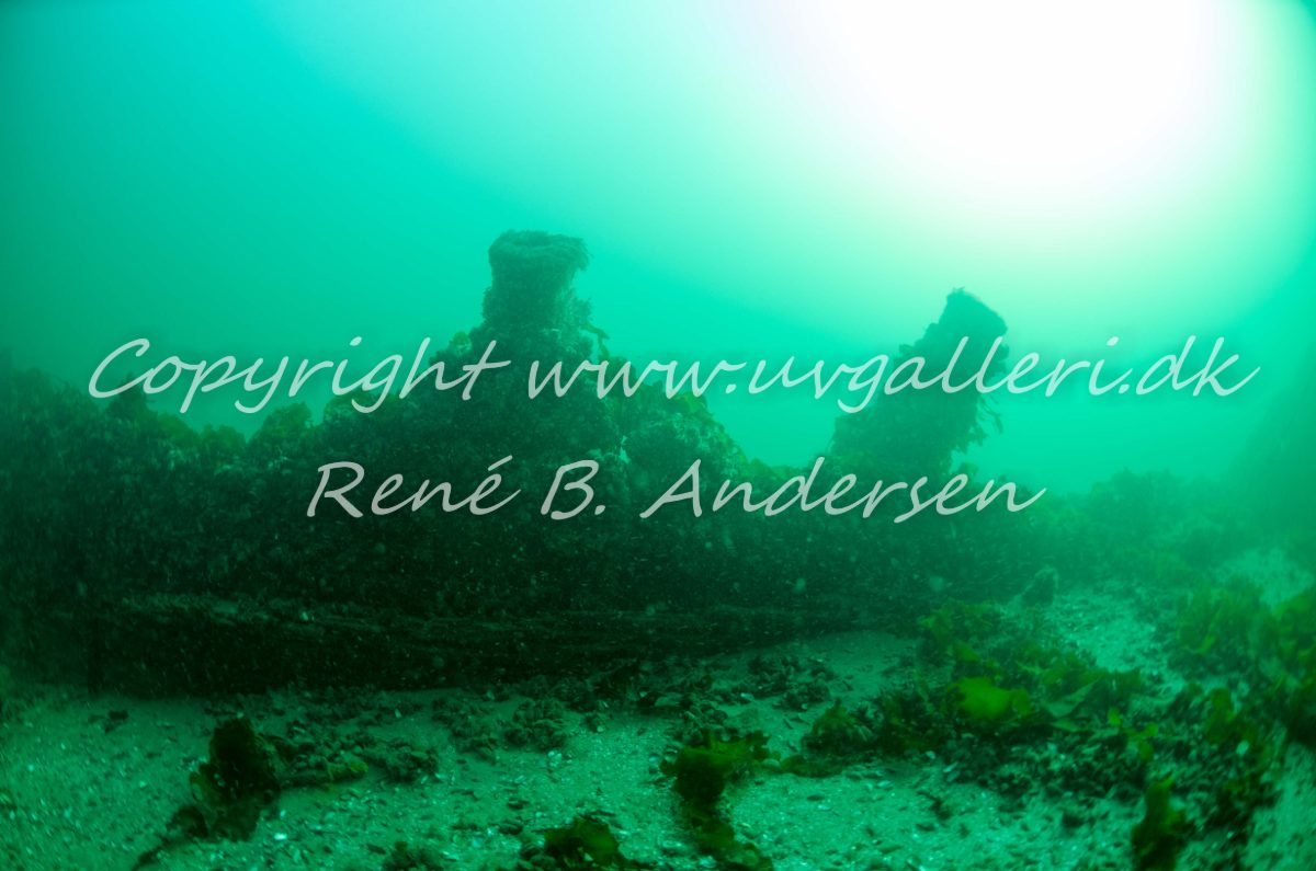 Kanonvraget