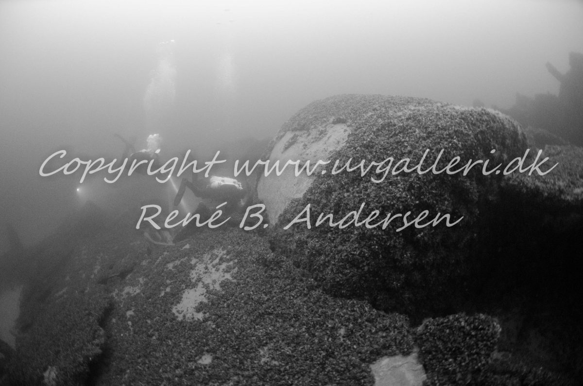Freisenberg