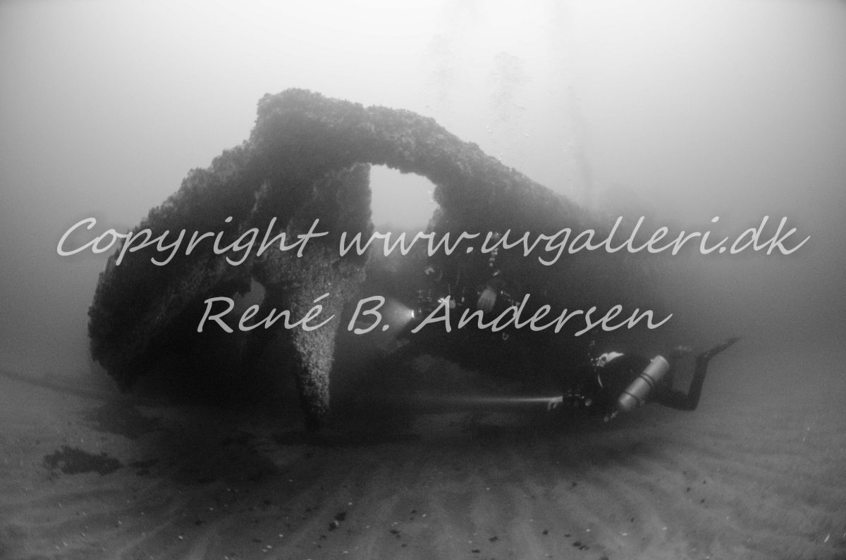 Freisenberg