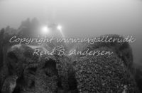 Freisenberg