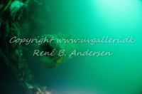 Minestryger M 575