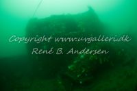 Anders Martin