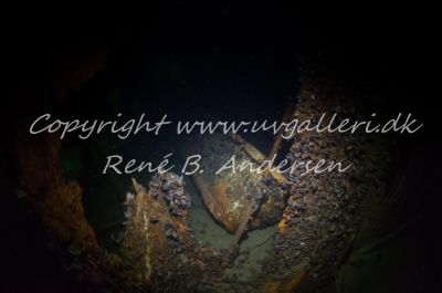 Minos (Hellfrid Bissmark)