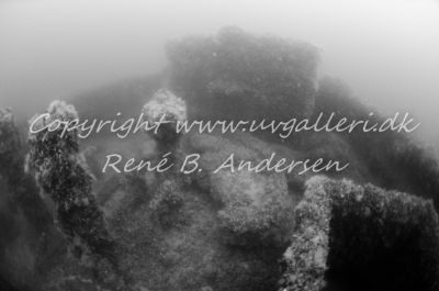 Minos (Hellfrid Bissmark)