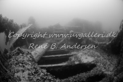 Minos (Hellfrid Bissmark)