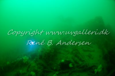 Der Kaiser S/S /Elsass