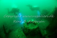 Der Kaiser S/S /Elsass