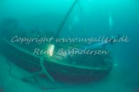 Jan Hubert