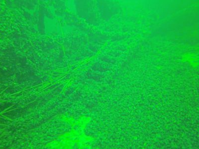 Minos (Hellfrid Bissmark)