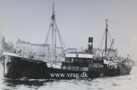 Minos (Hellfrid Bissmark)