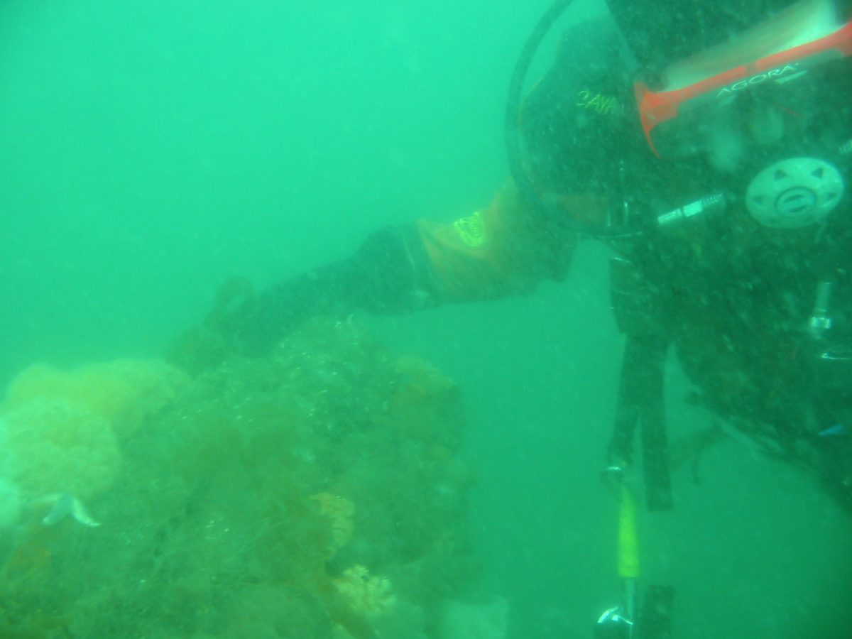 Duen M/S