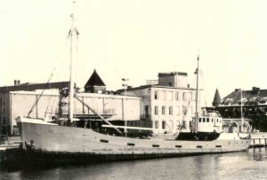 Irevik