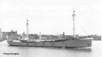 Irevik