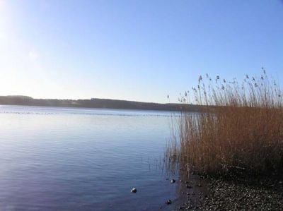 Stinesminde Vraget