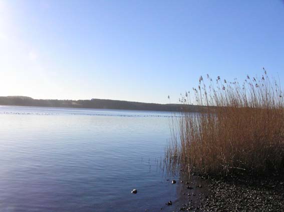 Stinesminde Vraget