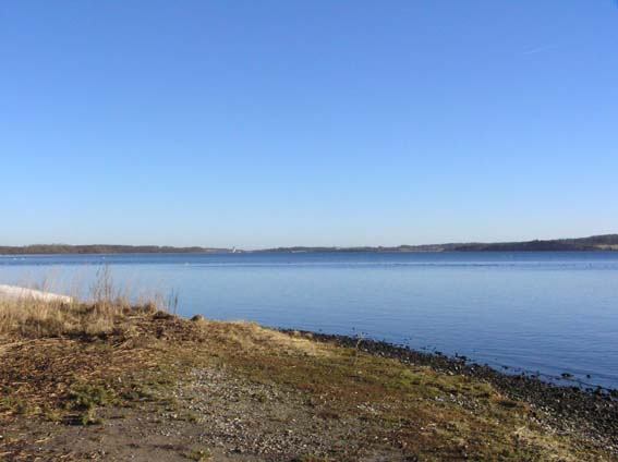 Stinesminde Vraget