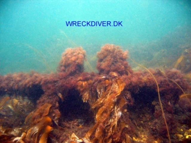 Nudde M/S