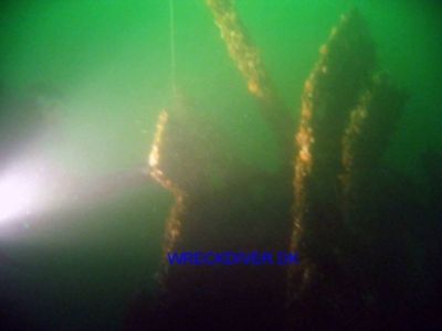S 103 Torpedebåd
