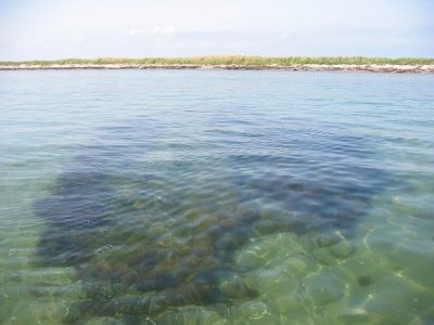 Vrag ved Storeholm (Ristinge/Langeland)