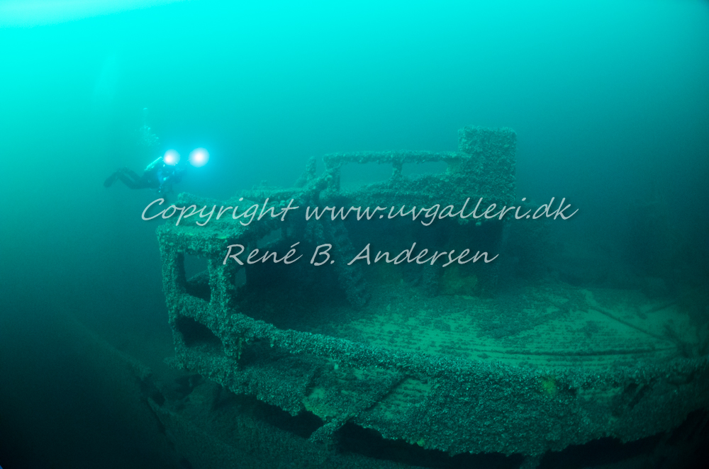 Bonita M/S