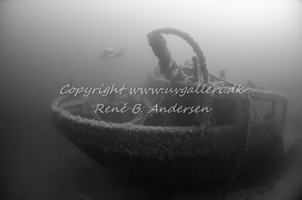 Bonita M/S