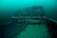 Bonita M/S