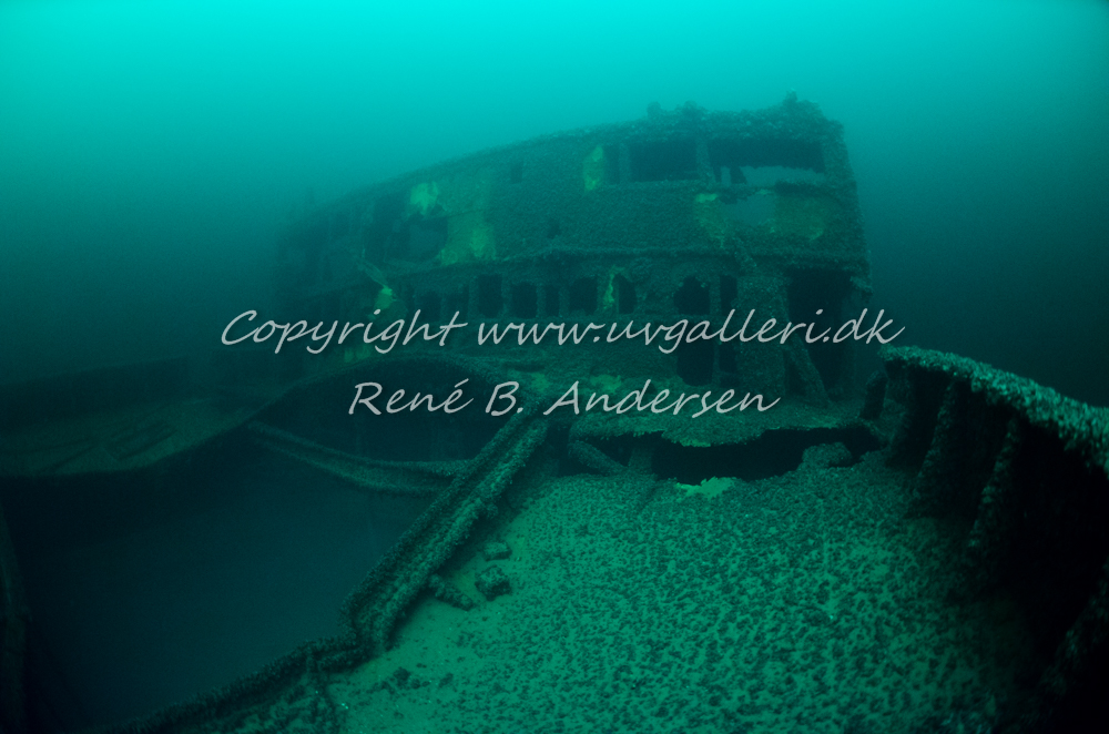 Bonita M/S