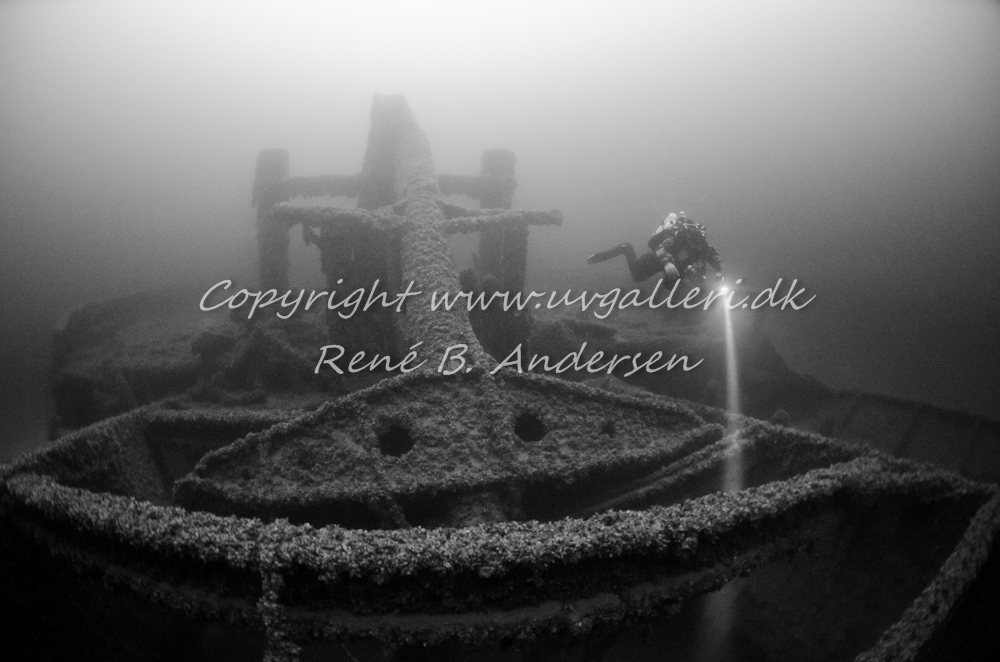 Bonita M/S