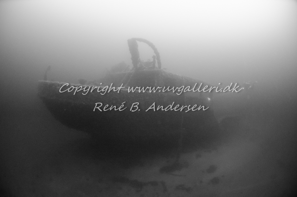 Bonita M/S