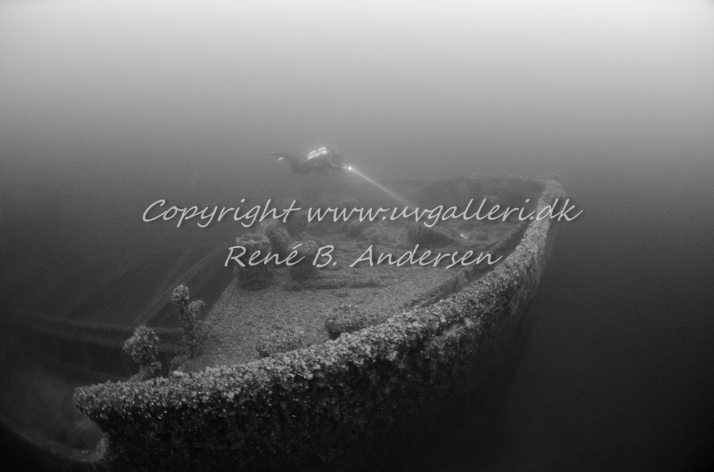 Bonita M/S
