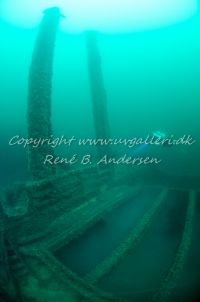 Bonita M/S