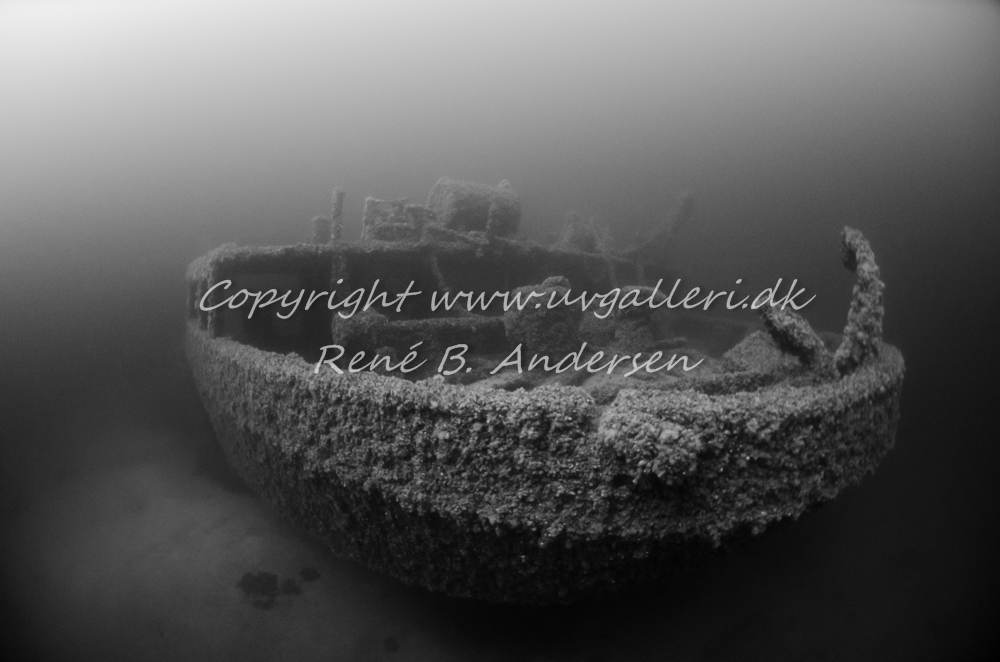 Bonita M/S