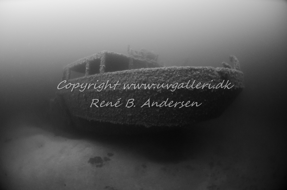 Bonita M/S