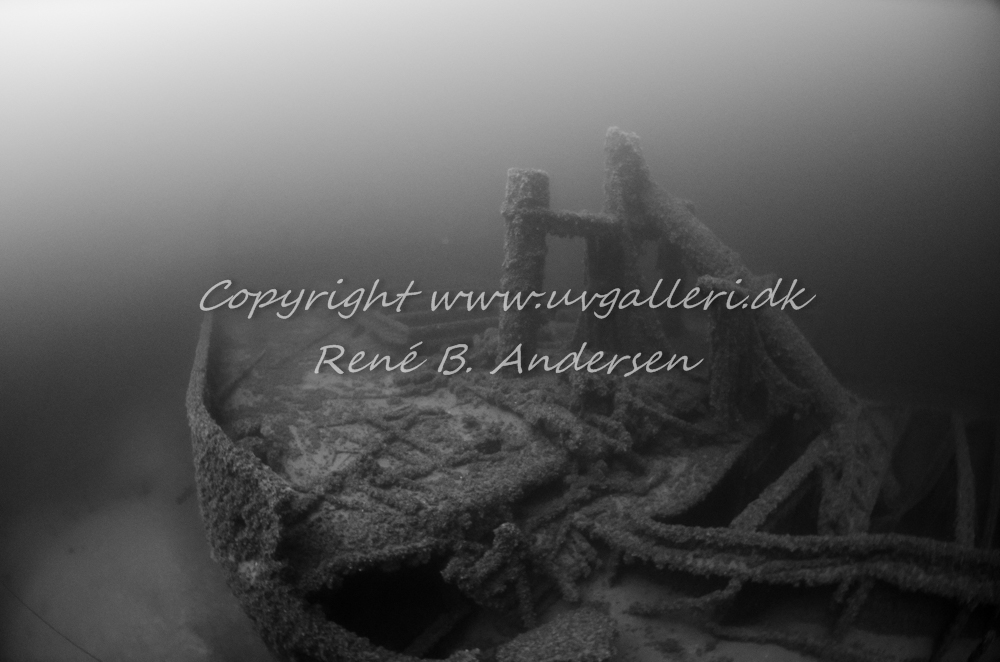 Bonita M/S