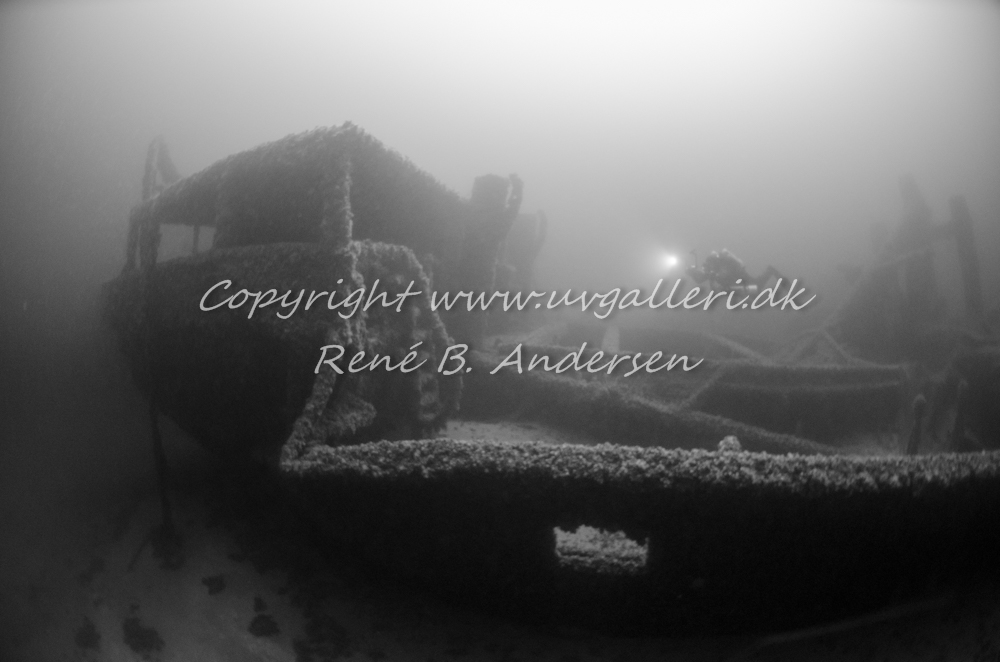 Bonita M/S