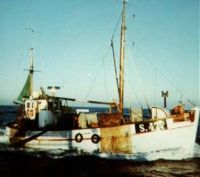 Birthe S477