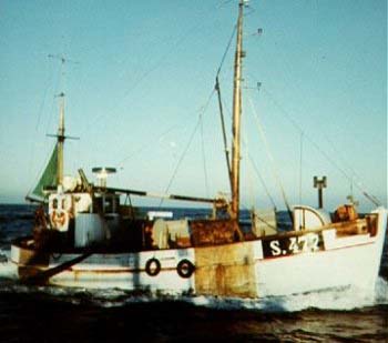Birthe S477