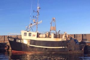Sara V (HM 341)
