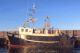 Sara V (HM 341)