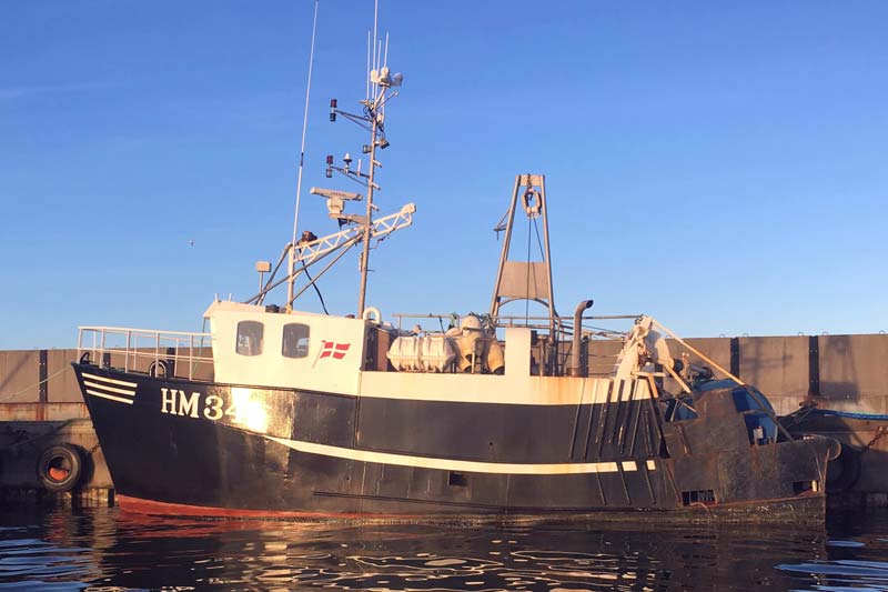 Sara V (HM 341)
