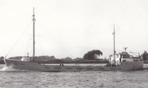 Birgit Thor M/S