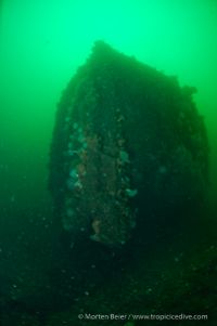 Anemonevraget