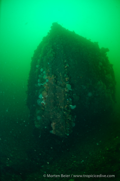 Anemonevraget