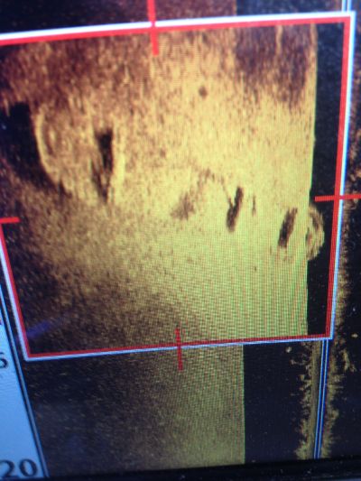 Gertrud, Treldenæsvraget