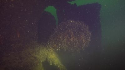 Minos (Hellfrid Bissmark)