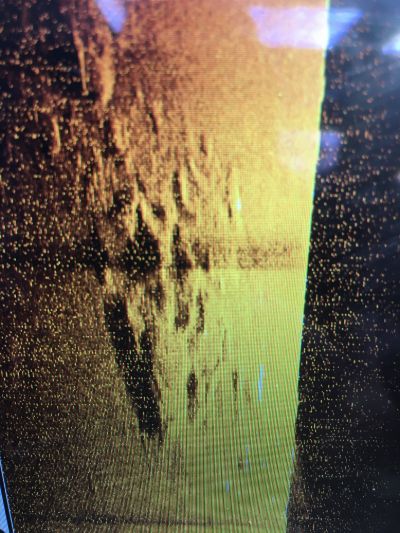 Der Kaiser S/S /Elsass